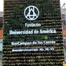 WhatsApp Image 2021-05-08 at 12.28.10 WhatsApp Image 2021-05-08 at 12.28.10