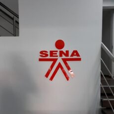 WhatsApp Image 2021-05-11 at 6.21.11 PM WhatsApp Image 2021-05-11 at 6.21.11 PM